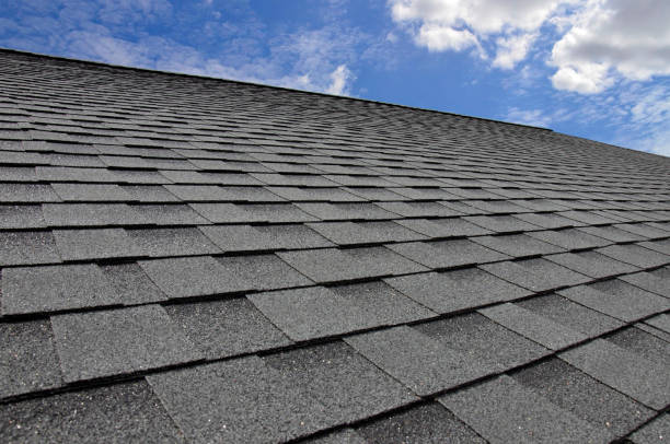 Best Emergency Roof Repair Services  in Coalfield, TN