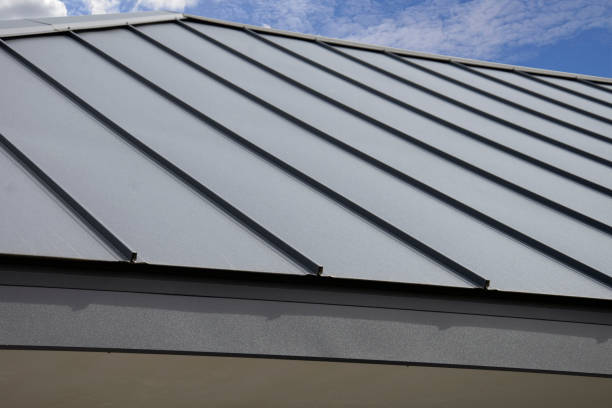 Best Metal Roofing Installation  in Coalfield, TN